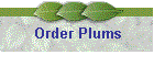 Order Plums